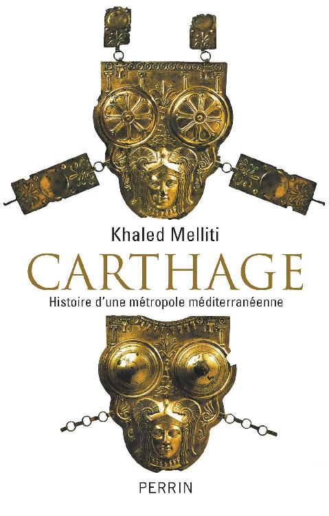 Carthage Histoire d'une métropole méditerranéenne