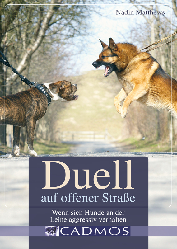 Duell auf offener Straße