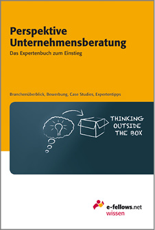 Perspektive Trainee 2013 - das Expertenbuch zum Einstieg