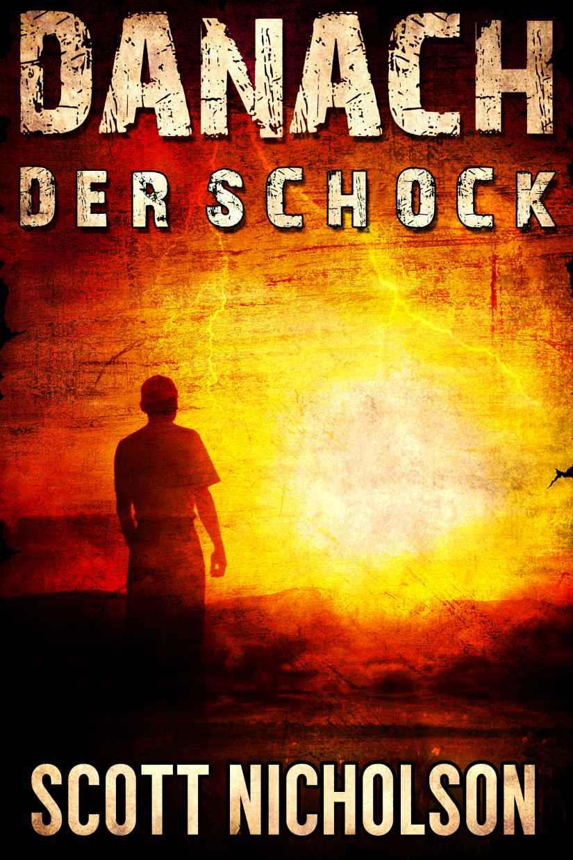 Der Schock: Ein postapokalyptischer Thriller