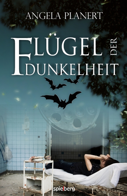 Fluegel der Dunkelheit