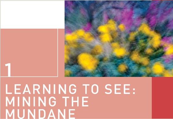 1 Learning to See: Mining the Mundane