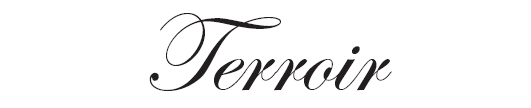 Terroir