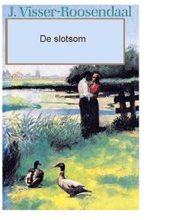 De slotsom