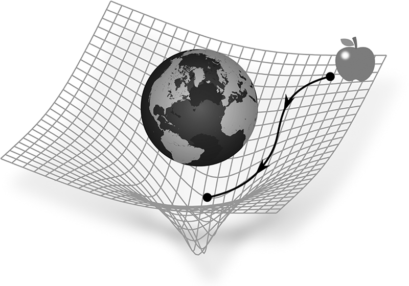 Fig. 3.6 Interpretazione della caduta di una mela nella teoria della gravitazione di Einstein: la Terra produce una curvatura dello spaziotempo e la mela deve muoversi seguendola, dunque «cadendo» verso il centro del pianeta.