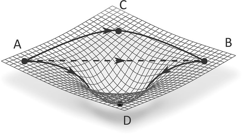 Fig. 3.7 In uno spaziotempo curvo una linea retta non è la traiettoria più breve per connettere due punti (ossia una geodetica). Nel caso in figura, il tragitto A-C-B rappresenta la geodetica tra A e B.