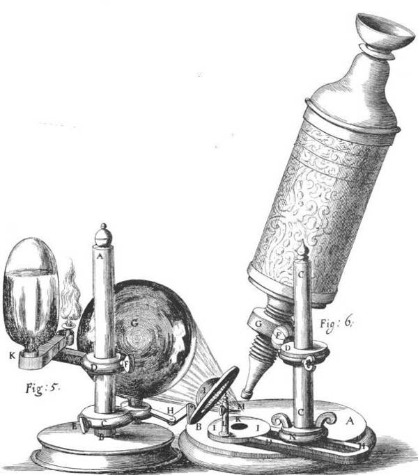 La « Micrographia » de R. Hooke, ou les promesses de la technique au service des sciences de la nature.