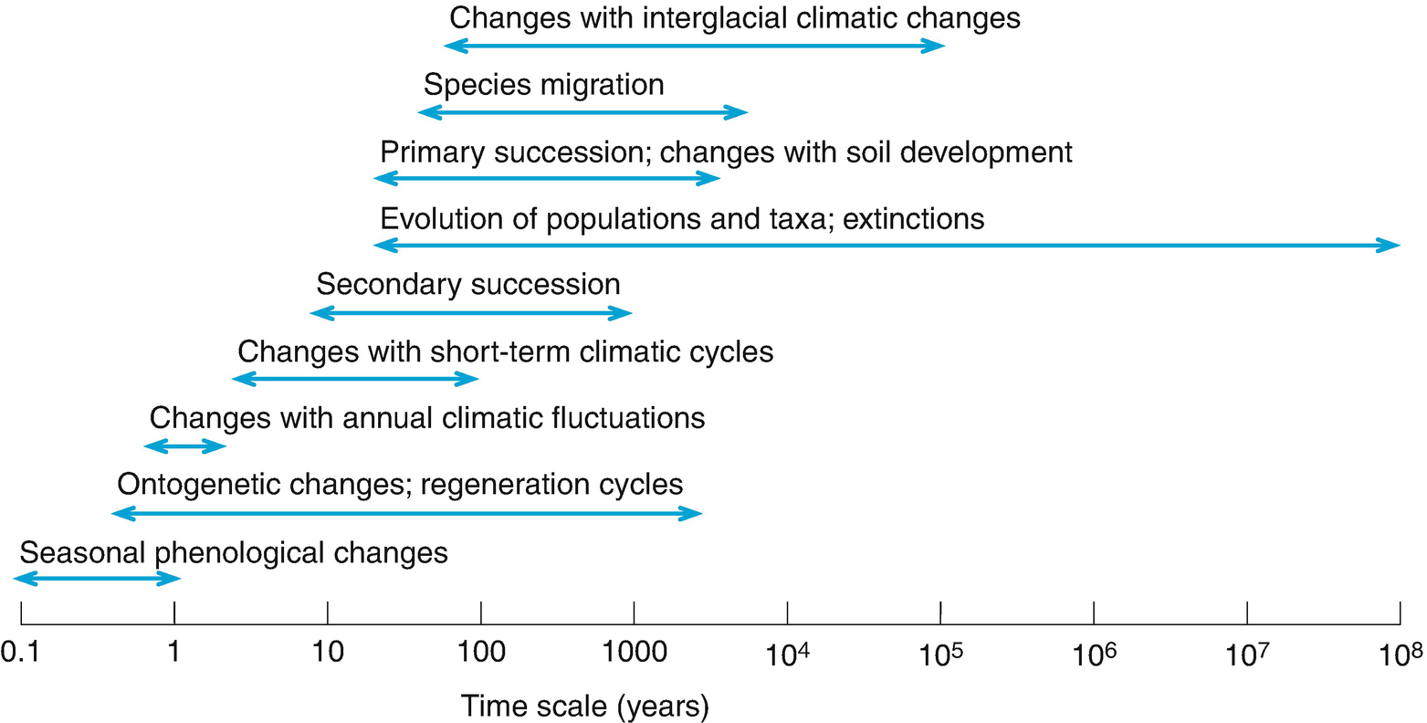 /epubstore/S/E-D-Schulze/Plant-Ecology/OEBPS/images/72100_2_En_17_Chapter/72100_2_En_17_Fig23_HTML.png