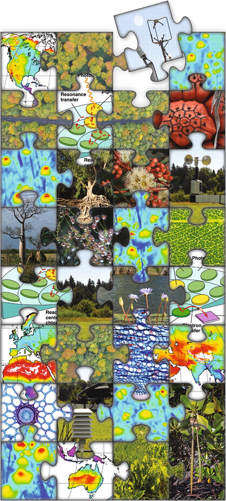 /epubstore/S/E-D-Schulze/Plant-Ecology/OEBPS/images/72100_2_En_1_Chapter/72100_2_En_1_Figa_HTML.jpg