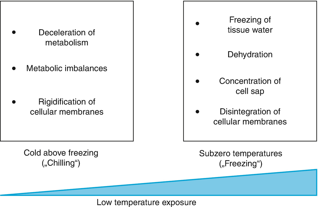 /epubstore/S/E-D-Schulze/Plant-Ecology/OEBPS/images/72100_2_En_4_Chapter/72100_2_En_4_Fig4_HTML.png