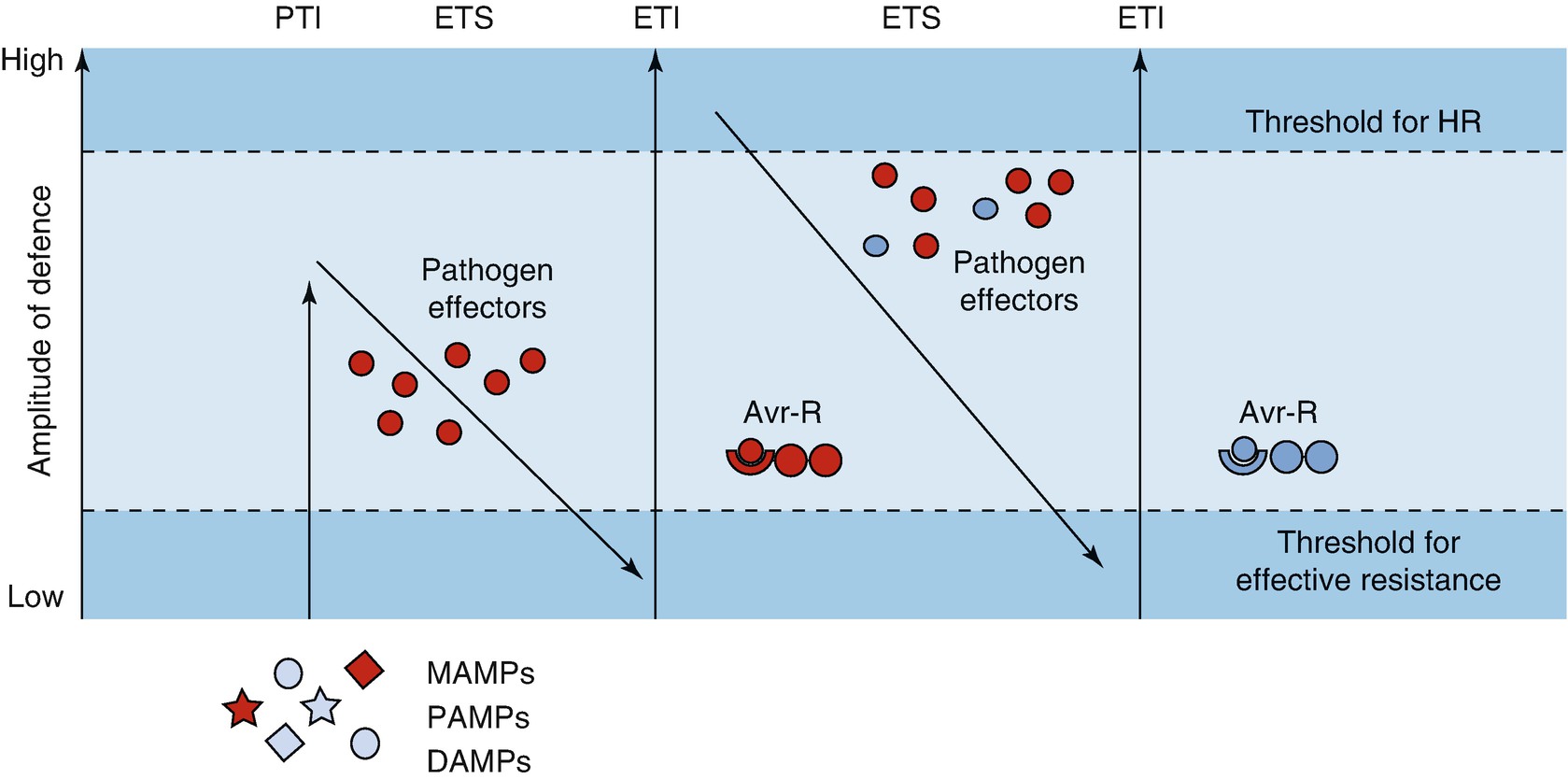 /epubstore/S/E-D-Schulze/Plant-Ecology/OEBPS/images/72100_2_En_8_Chapter/72100_2_En_8_Fig7_HTML.jpg