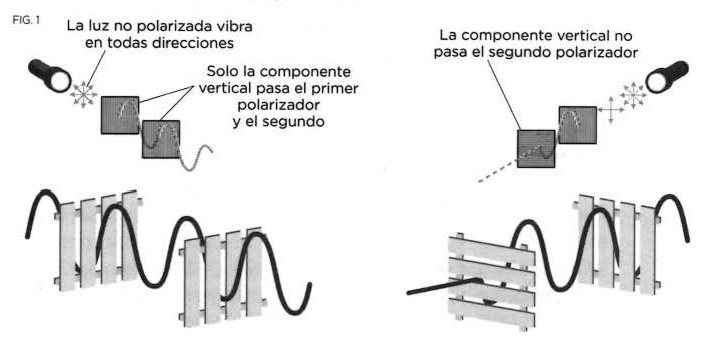 Polarización de la luz