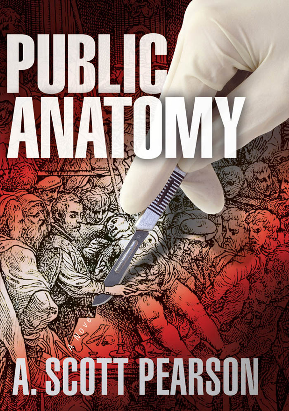 Public Anatomy