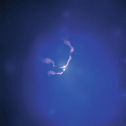 /epubstore/S/P-Schneider/Extragalactic-Astronomy-And-Cosmology/OEBPS/A129044_2_En_6_Fig30_HTML.jpg