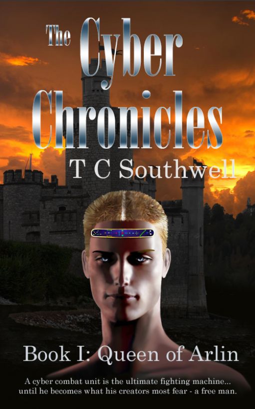 The Cyber Chronicles Book I: Queen of Arlin