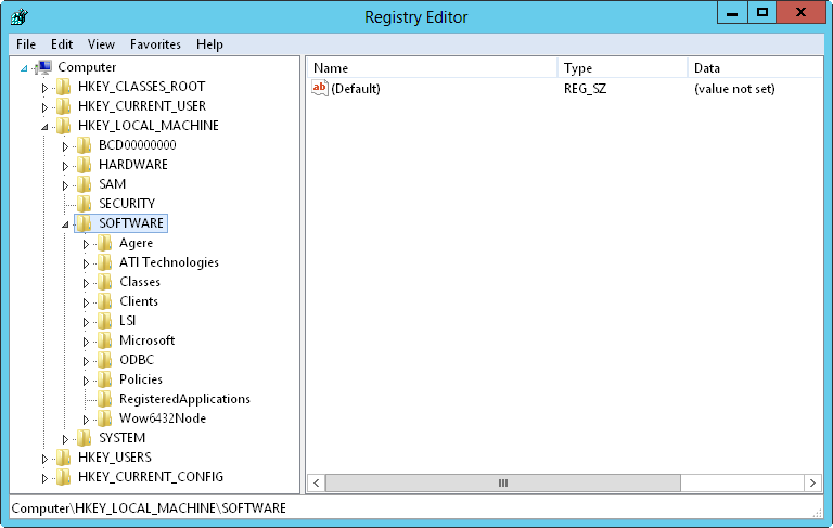 A screen shot of the Registry Editor, showing subkeys within HKEY_LOCAL_MACHINE\SOFTWARE.