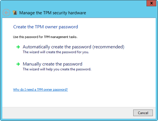 A screen shot of the Create The TPM Owner Password page, where you can elect to create the password automatically or manually.