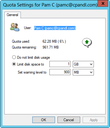 A screen shot of the Quota Settings dialog box, showing customization options for individual users.