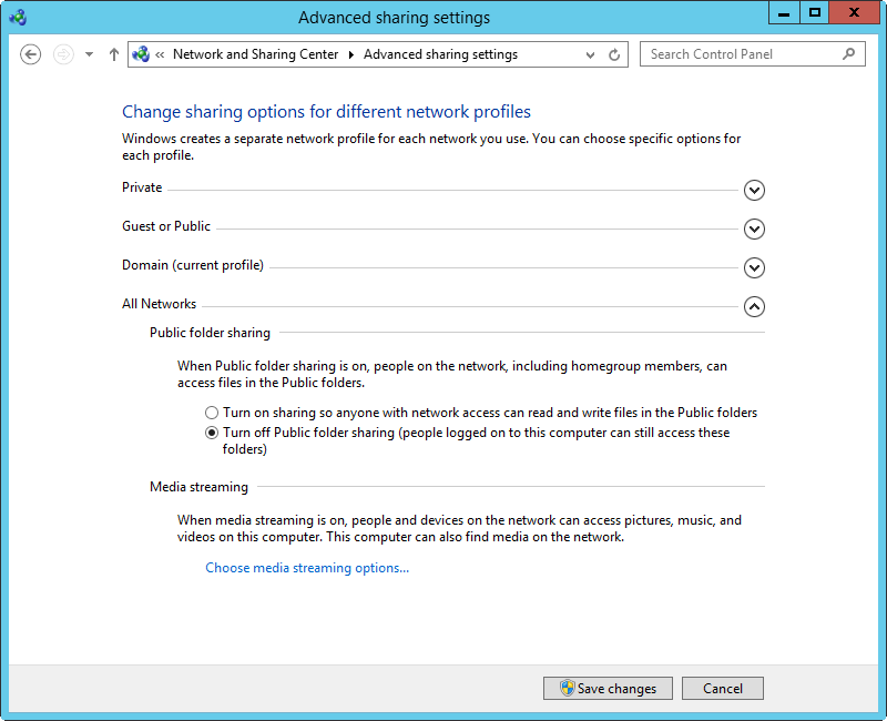 A screen shot of the Network And Sharing Center, showing file-sharing options for the current network.