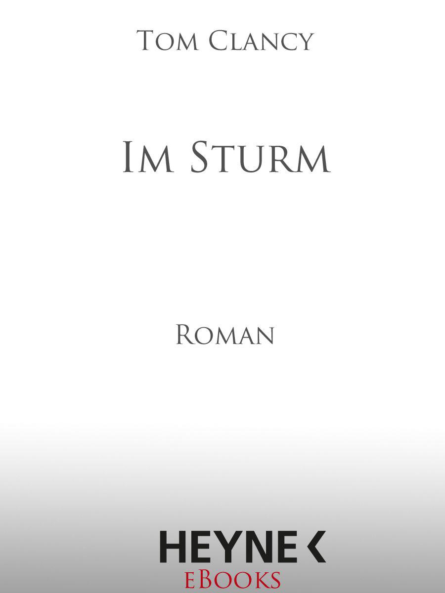 Im Sturm: Thriller