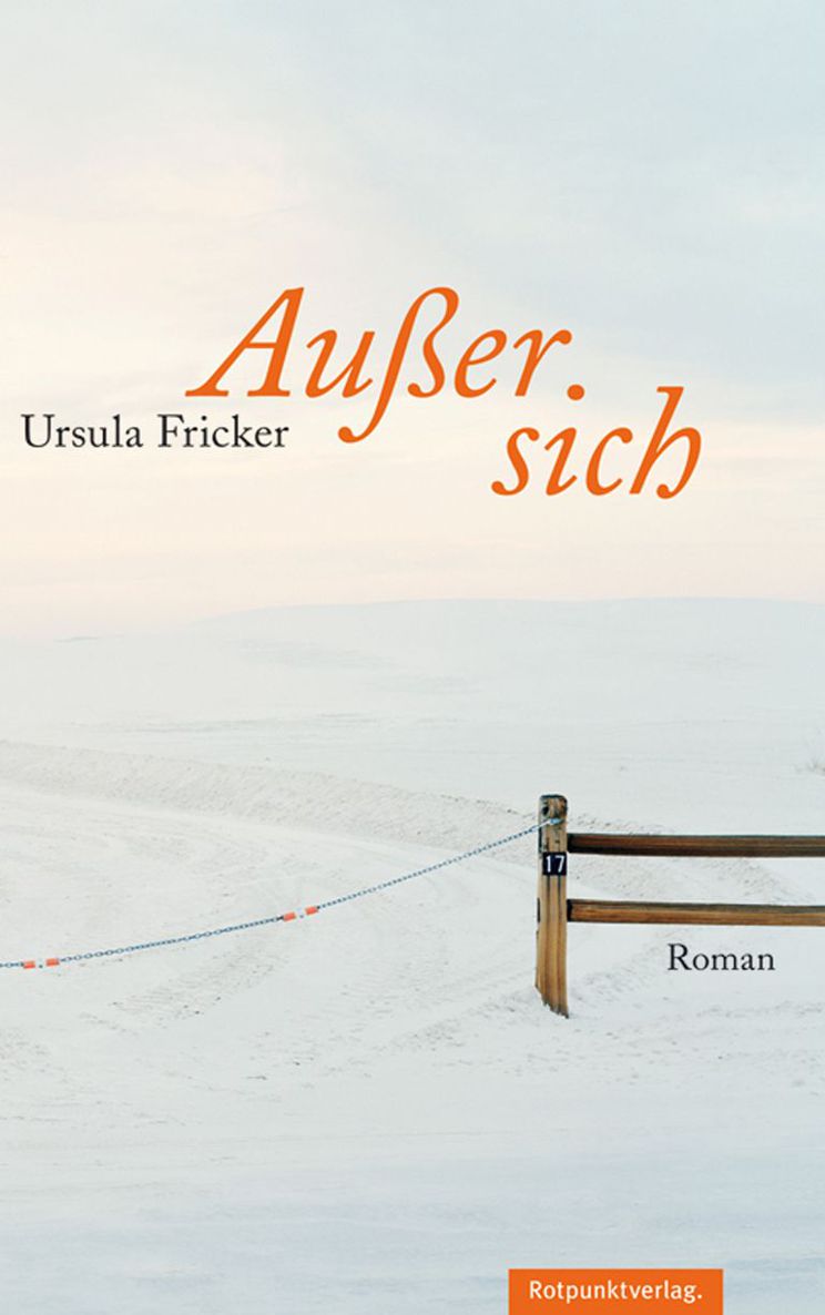 Außer sich: Roman