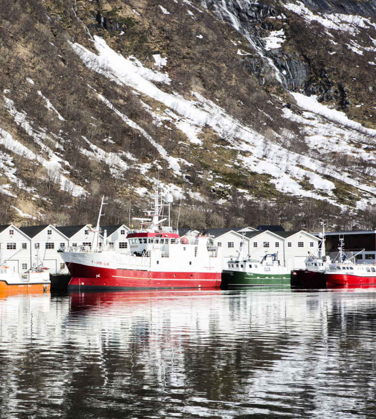 Nella pagina di apertura, vista sul porto di Husøy.