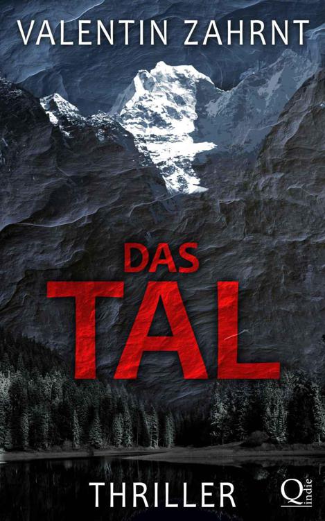 Das Tal: Thriller