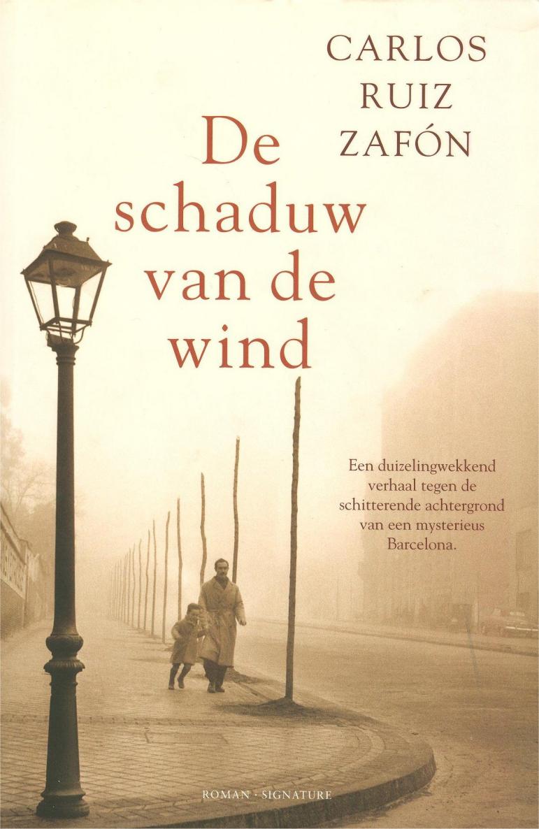 De schaduw van de wind