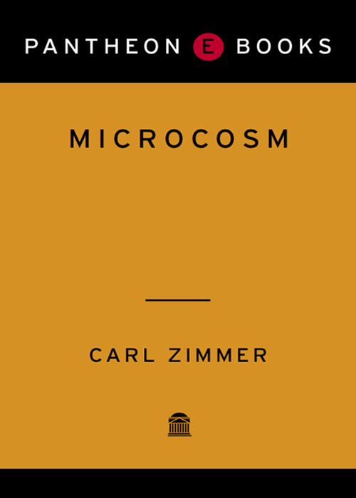 Microcosm