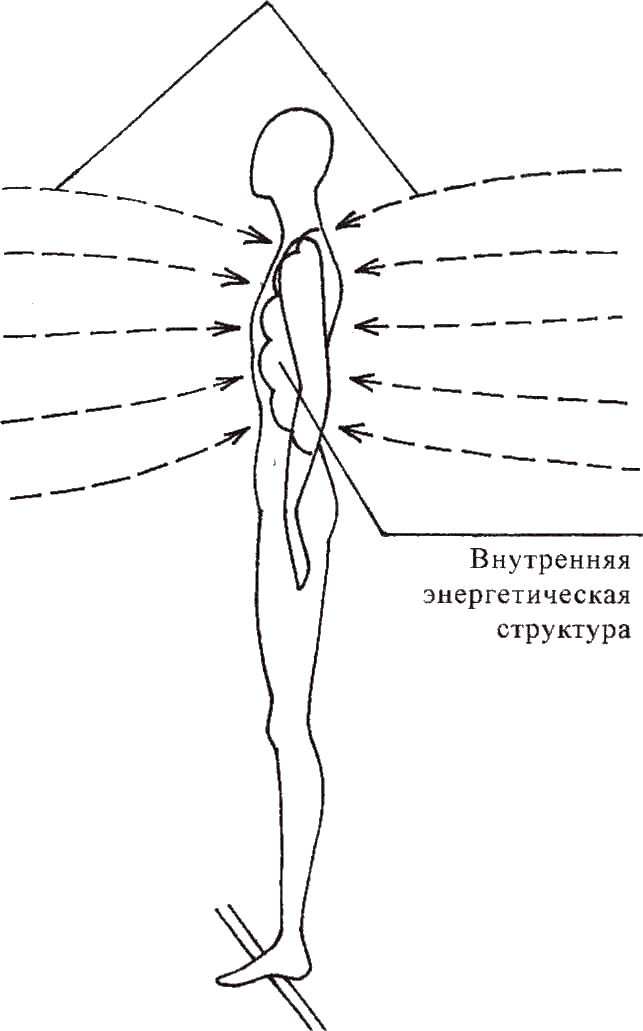 Проект здоровое тело орел