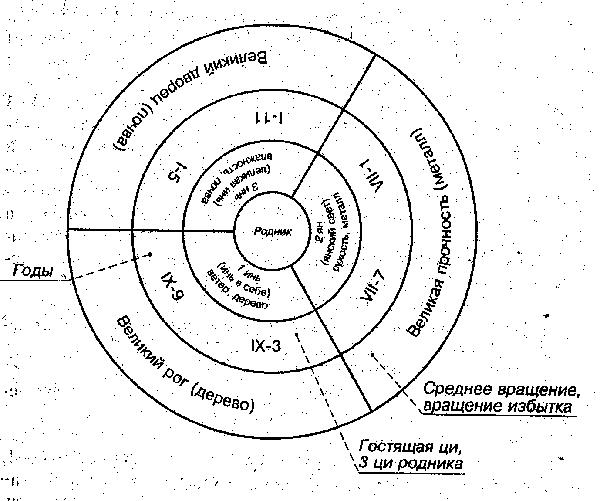 Физиогномика китайская схема