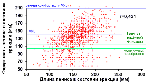 Фаллос Как Зеркало Иерархии