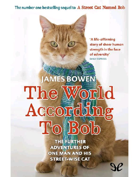 The World According to Bob