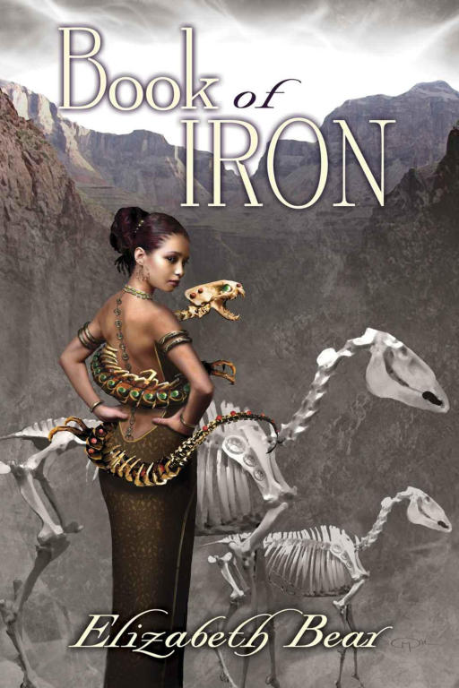 Book of Iron