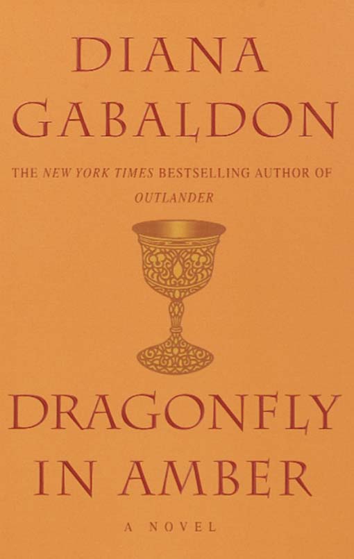 Dragonfly In Amber