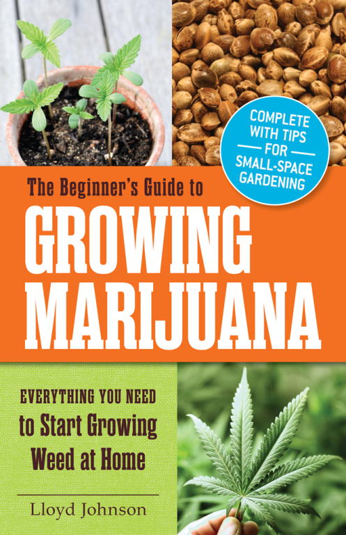 The Beginner's Guide to Growing Marijuana