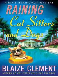 Raining Cat Sitters And Dogs