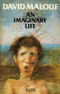 An Imaginary Life