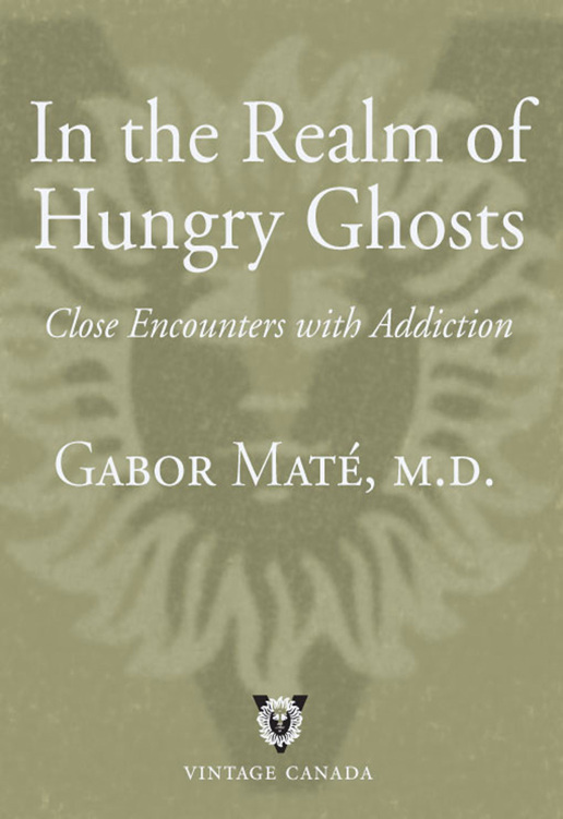 In the Realm of Hungry Ghosts: Close Encounters with Addiction