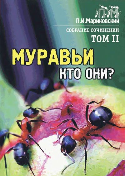 Муравьи кто они?